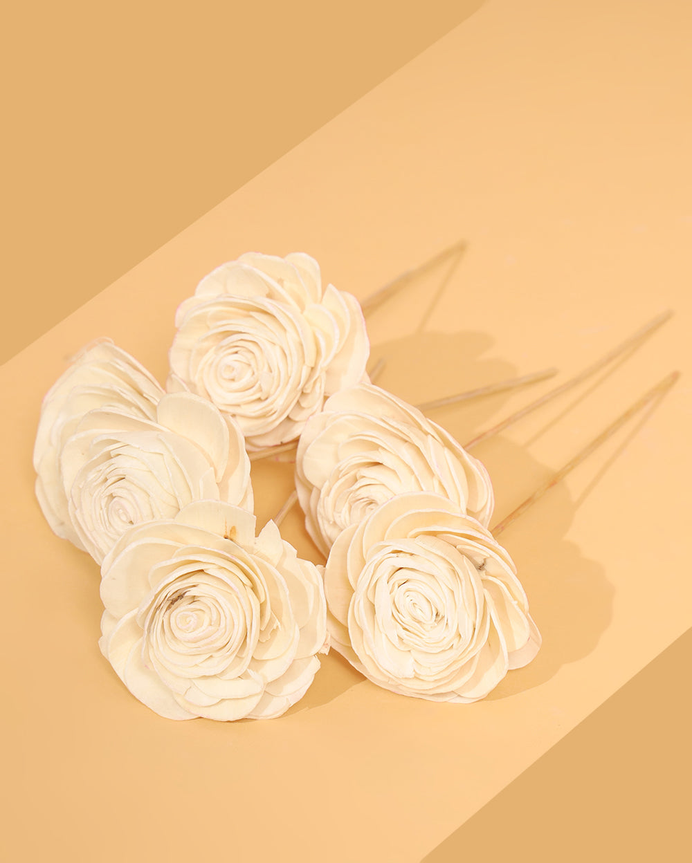 White Shola roses