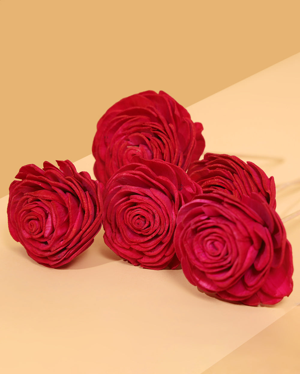 Valentine Shola Roses ( Set of 5 )