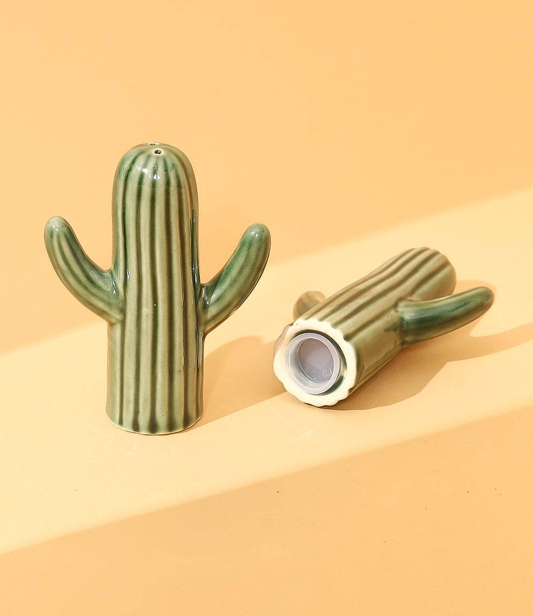 Cactus salt n pepper set