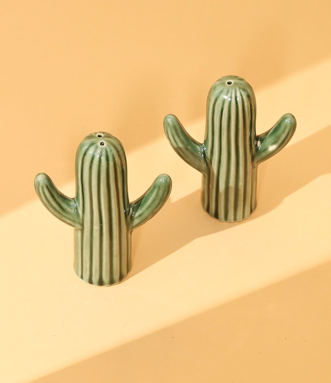 Cactus salt n pepper set