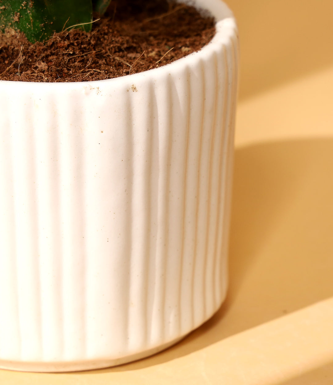 Striped round planter