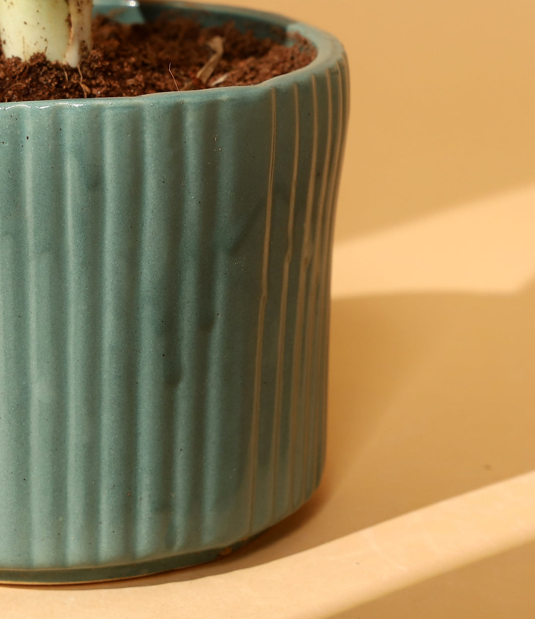 Striped round planter