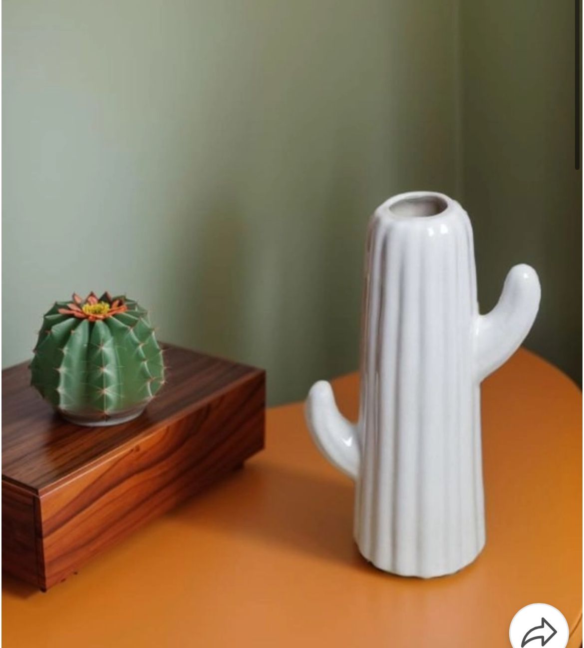 Cactus vase